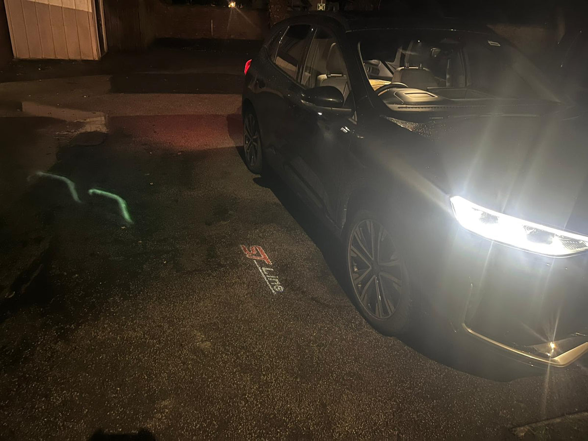 Ford Kuga MK3 MK3.5 ST-Line LED puddle light with ST Line logo projection