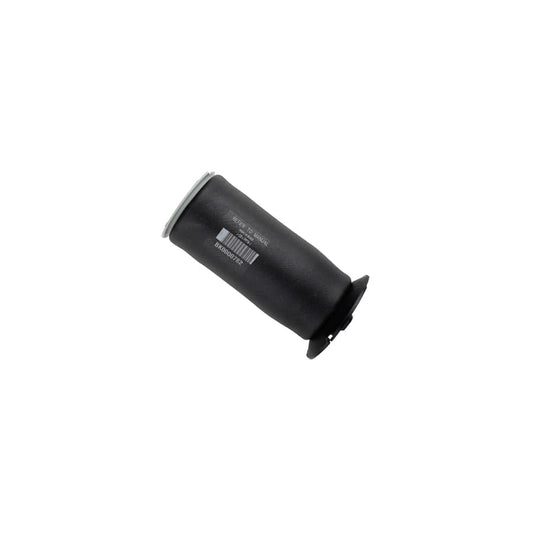 BMW E61 Touring Rear Air Spring BILSTEIN-40-303567 for N52/N54/N55