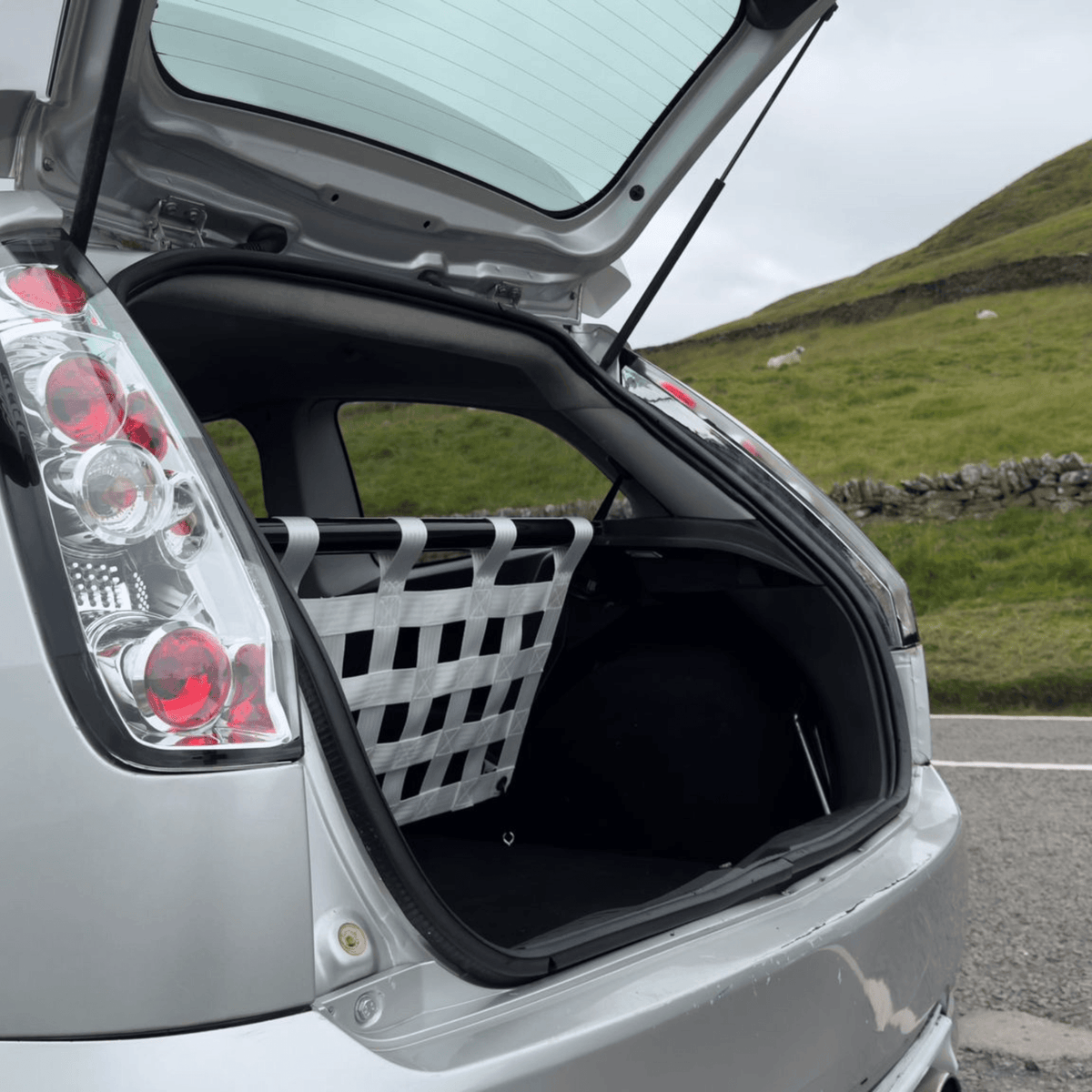 Ford Fiesta Mk6 ST150 Strut Bar & Cargo Net Kit