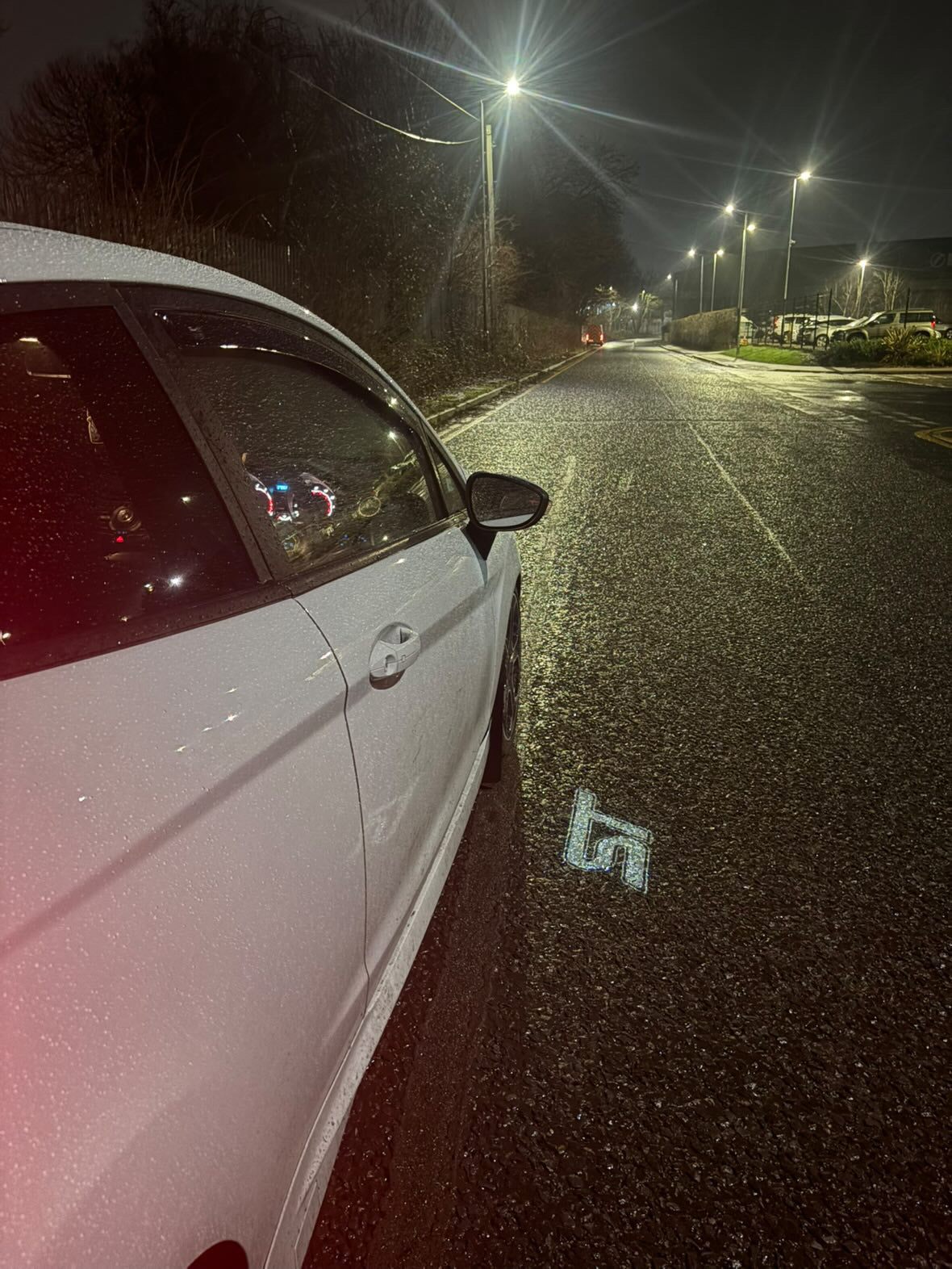 Ford Fiesta MK7 MK7.5 ST Logo Puddle Lights