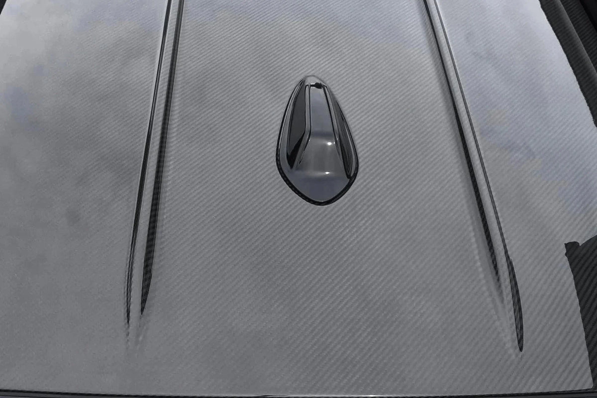 G21 G81 Touring Carbon Roof Panel Alpha-N Dry Carbon Fibre Pre-Preg 2x2 Twill