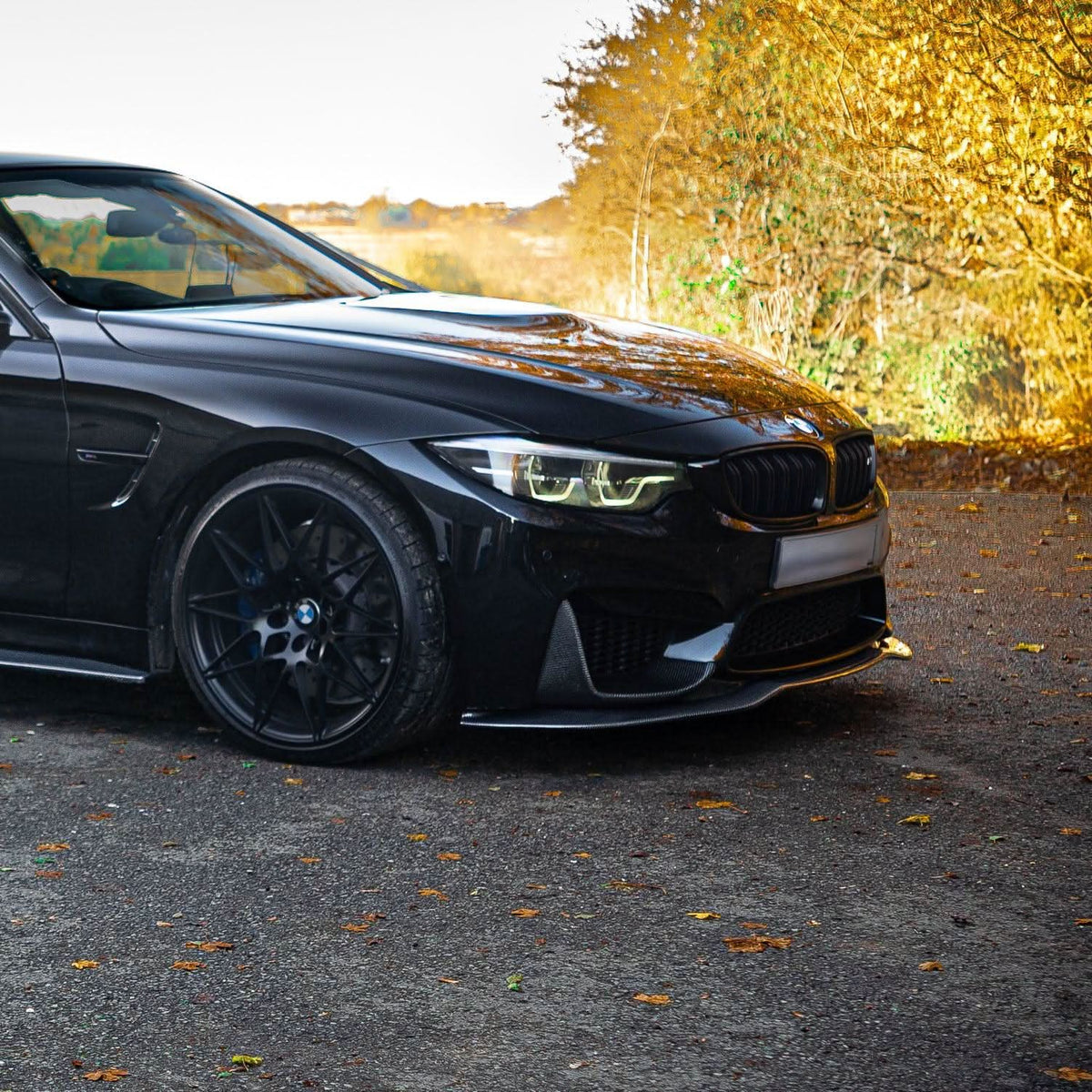 BMW F80 M3 F82 M4 F83 M4 Carbon Fibre Front Splitter