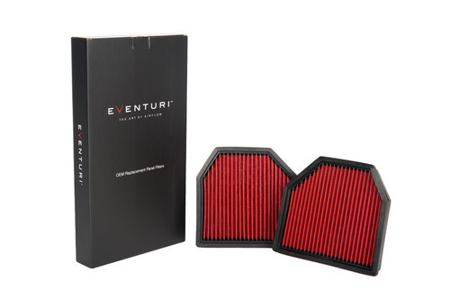 F10 M5 F06/F12/F13 M6 Eventuri Panel Filter