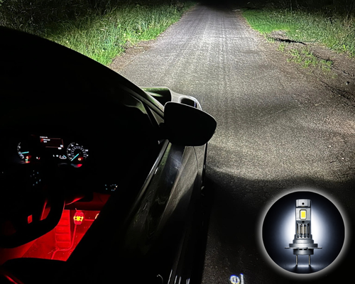 Ford Focus MK4 (2017-2025) H7 Mini LED Bulbs 477 / PX26d