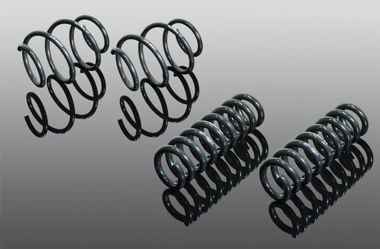 G01 G02 BMW X3 X4 Lowering Springs AC Schnitzer 3130301110 - 20-25mm Drop, xDrive & Adaptive M Suspension Compatible